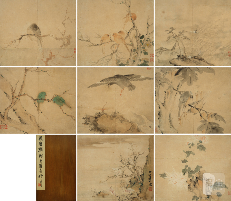谢身灌（清初） 花鸟八帧 - 图2
